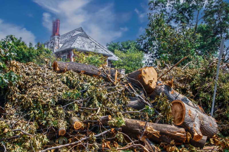 Brush Cleaning Service in Honolulu, HI