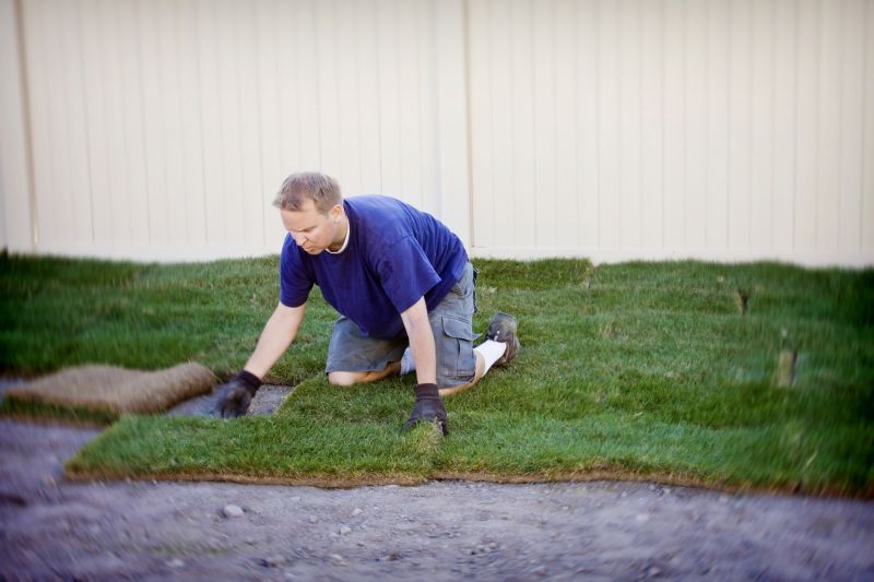 Centipede Sod Installation in Aiken, SC