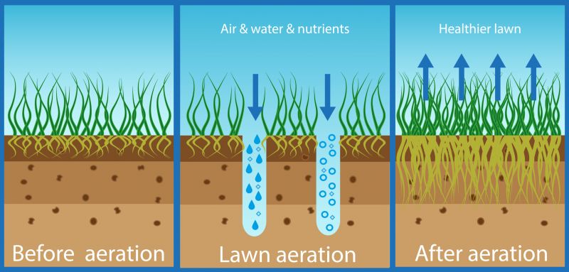 Commercial Lawn Aeration