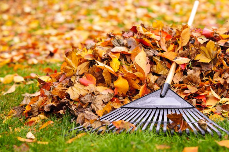 Fall Lawn Cleanup Service in Honolulu, HI
