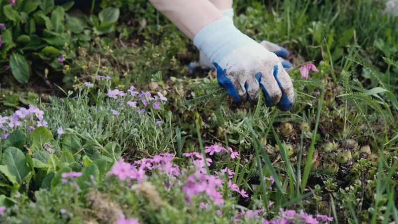Flower Bed Weeding Service in Rockwall, TX