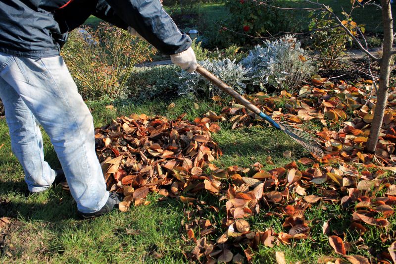 Landscaping Cleanup Service in Honolulu, HI