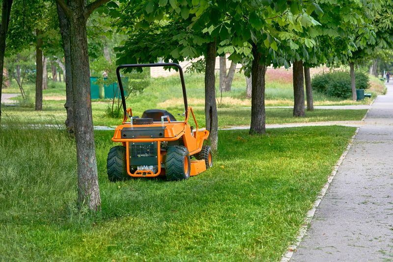 Lawn Cleanup Service in Honolulu, HI