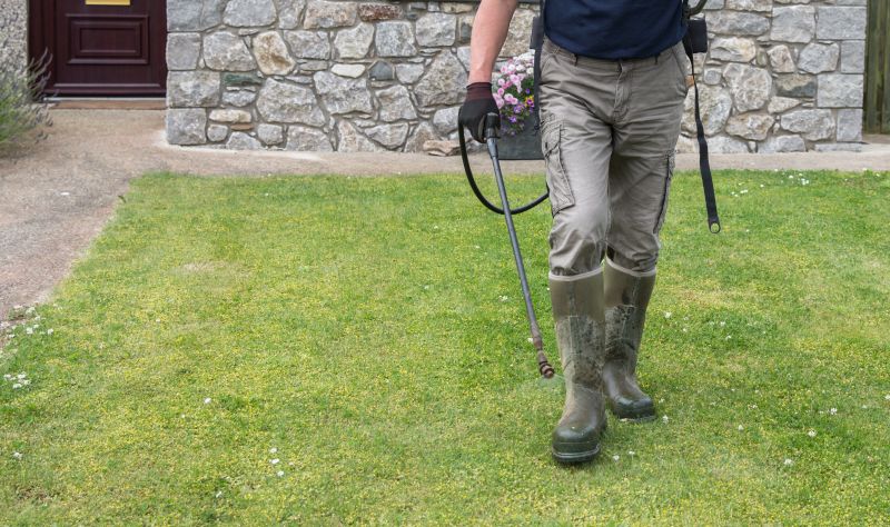Lawn Herbicide Treatment in Honolulu, HI