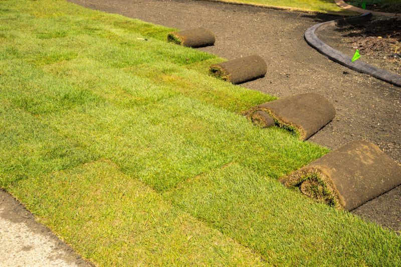 Lawn Sodding in Aiken, SC