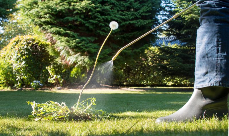 Lawn Weed Spraying in Ventura County, CA