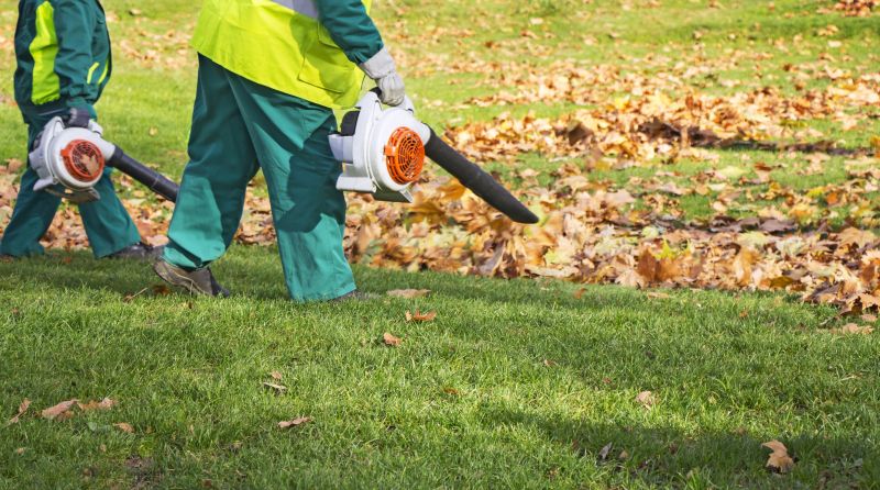 Leaves Vacuuming in Honolulu, HI