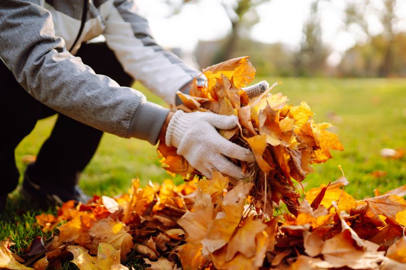 Leaves Vacuuming in Honolulu, HI