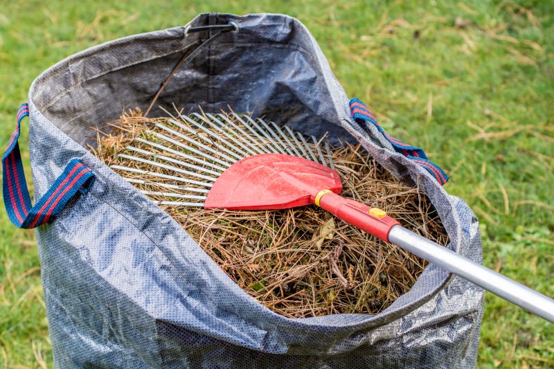 Pine Needles Removal in Honolulu, HI