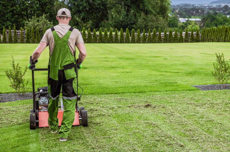 Residential Lawn Aeration