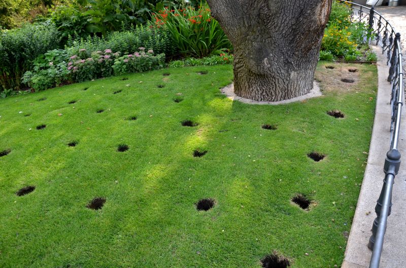 Residential Lawn Aeration