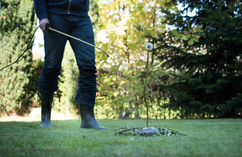 Crabgrass Removal in Ventura County, CA