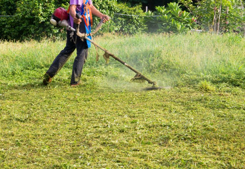Crabgrass Removal in Aiken, SC