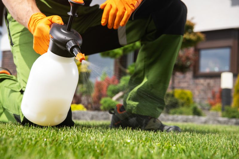 Lawn Spraying in Rockwall, TX