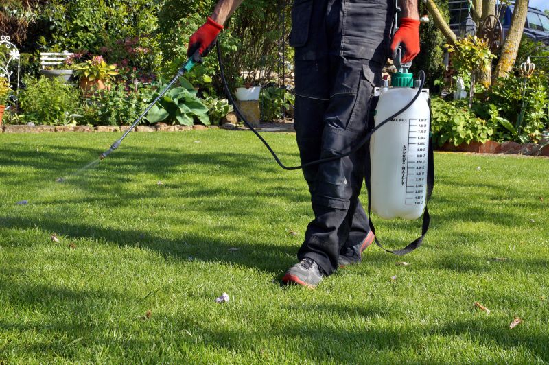 Weed Control Service in Rockwall, TX